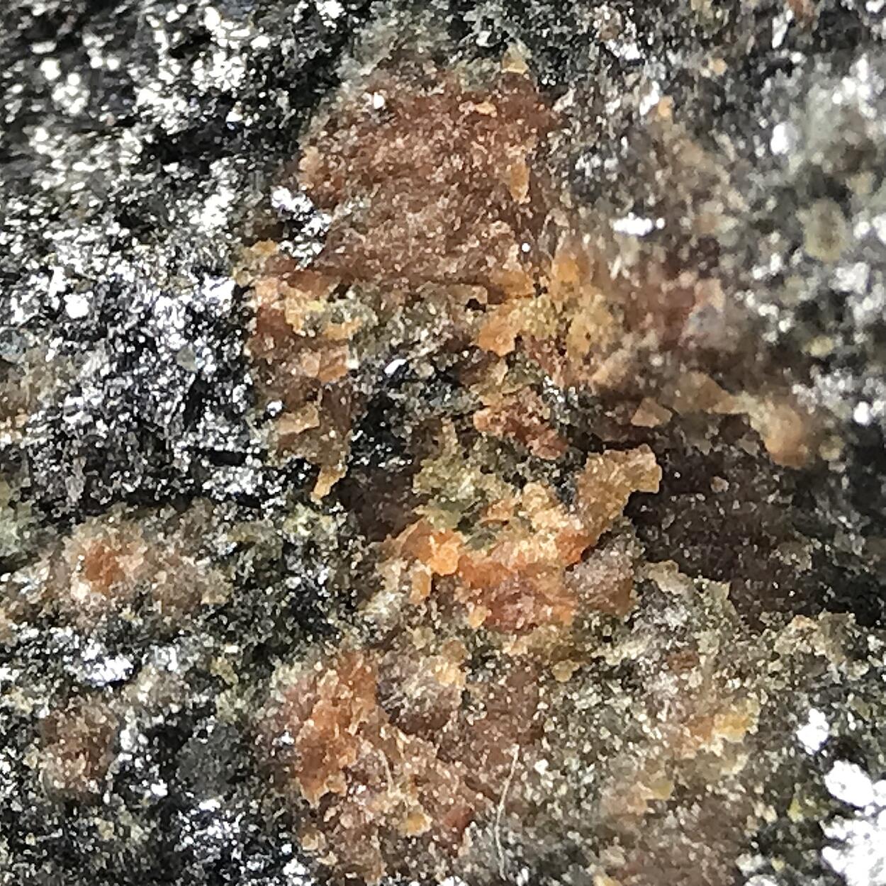 Arseniosiderite