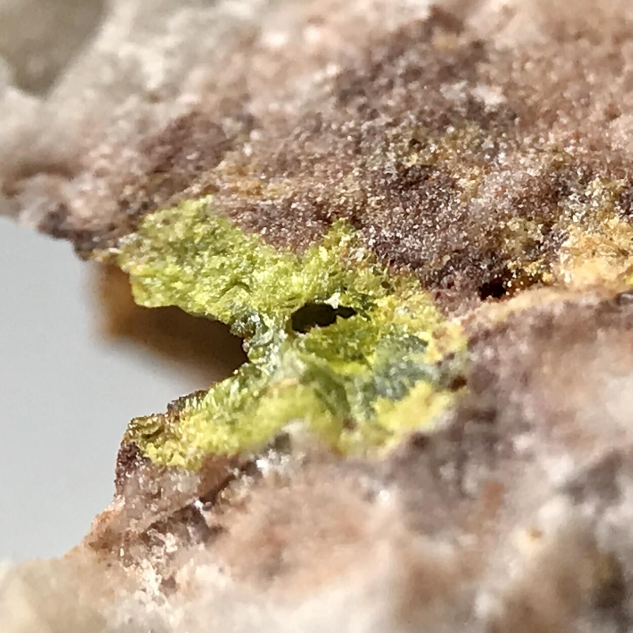 Rodalquilarite