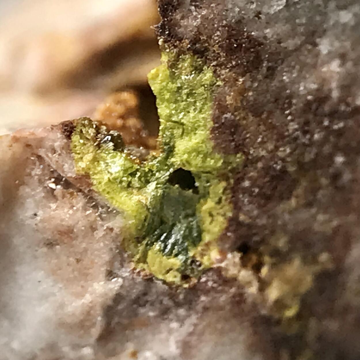 Rodalquilarite