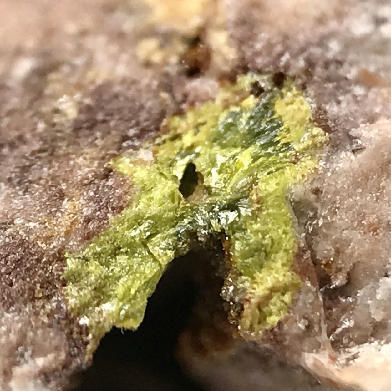 Rodalquilarite