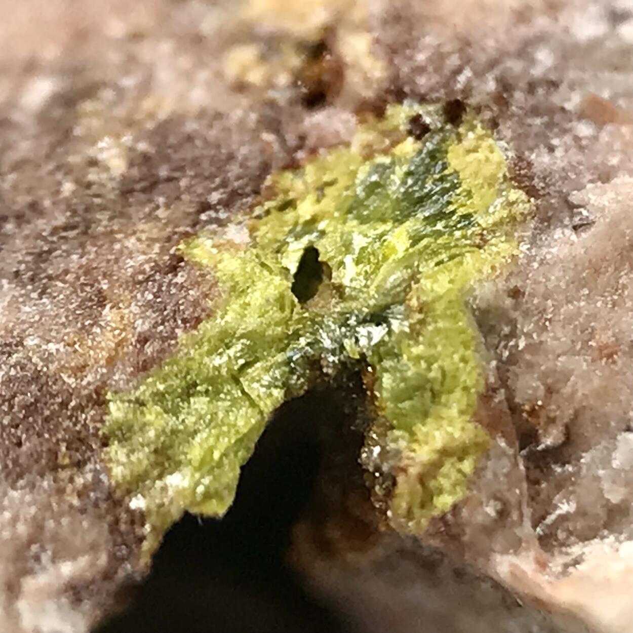 Rodalquilarite