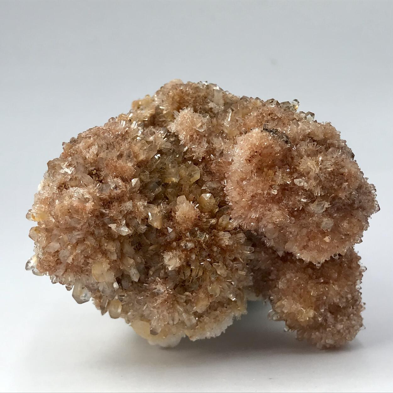 Creedite