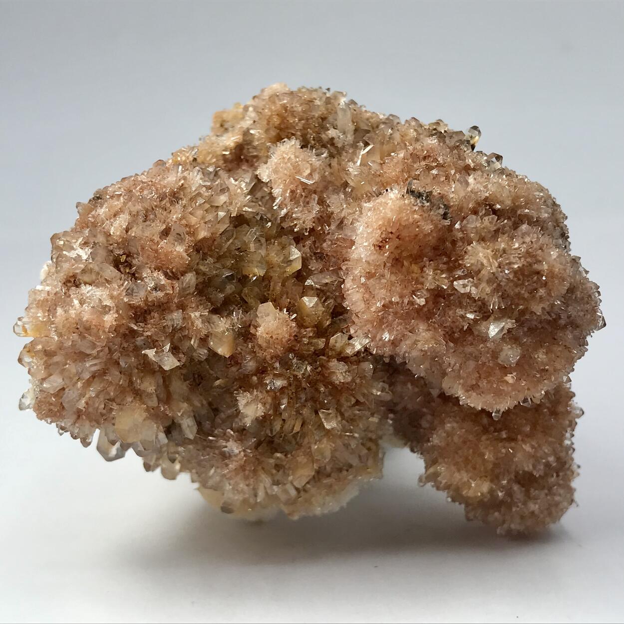 Creedite