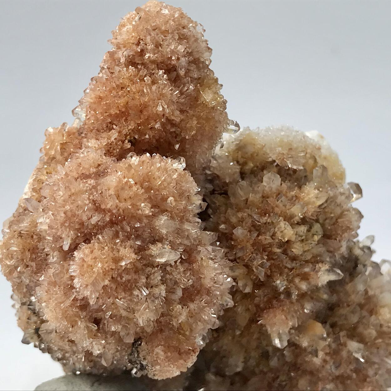 Creedite