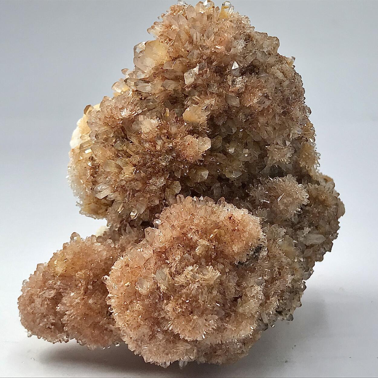 Creedite