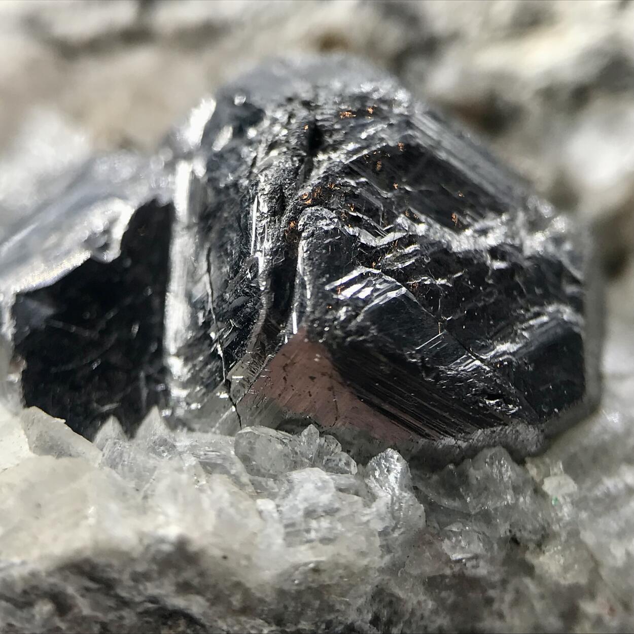 Carrollite