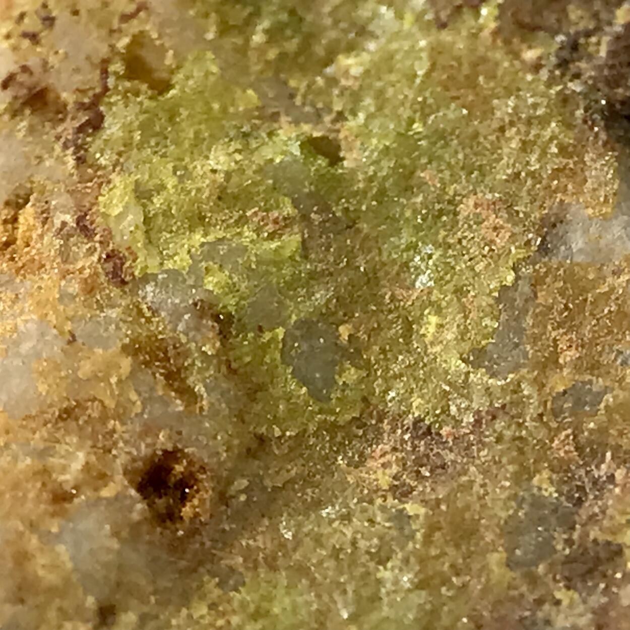 Rodalquilarite