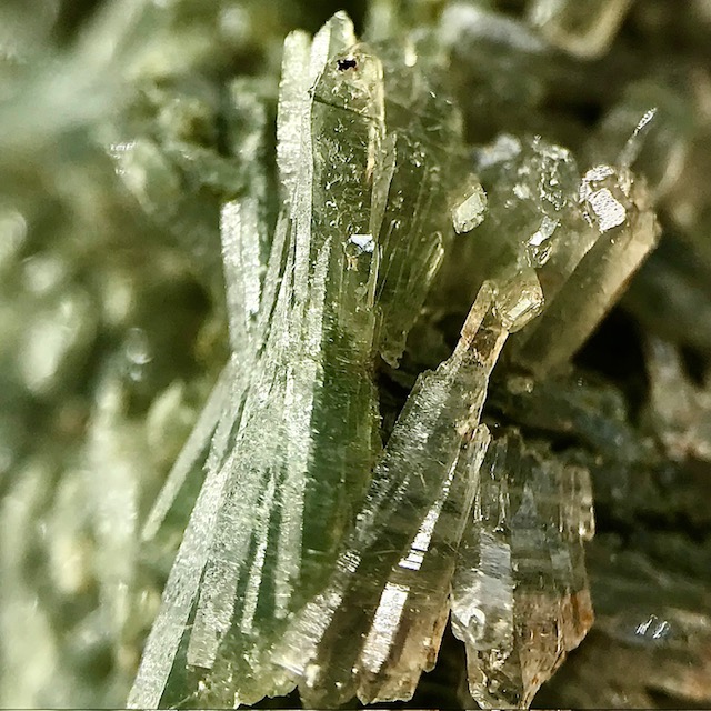 Actinolite