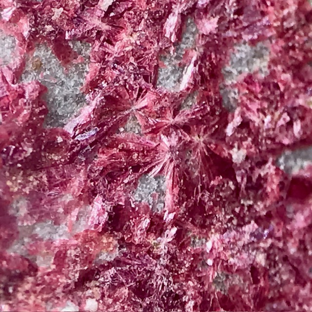 Erythrite