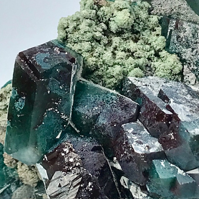 Celadonite