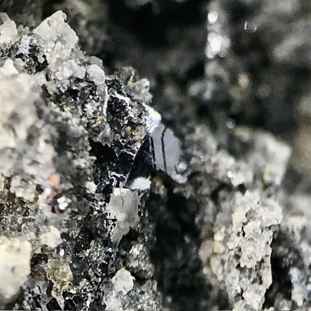 Xanthoconite