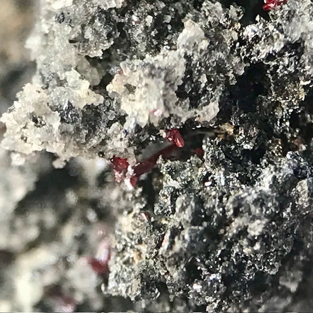 Xanthoconite