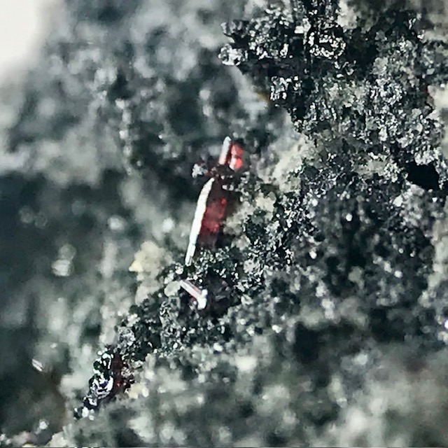 Xanthoconite