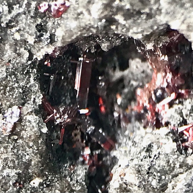 Xanthoconite