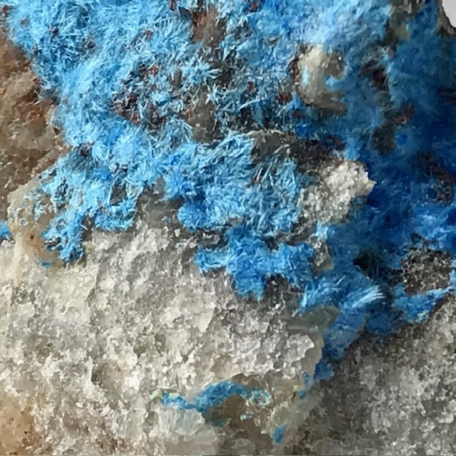 Cyanotrichite