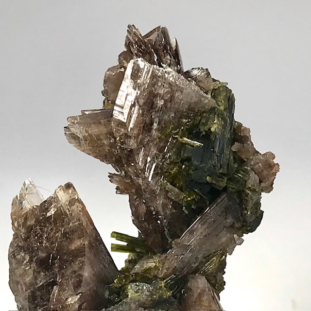 Axinite-(Mn)