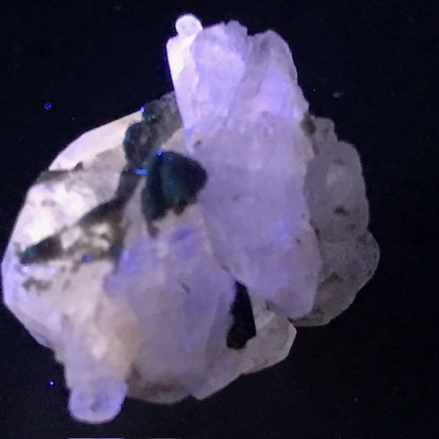 Fluorapatite