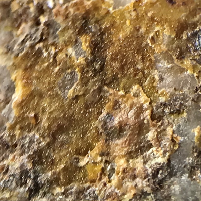 Segnitite