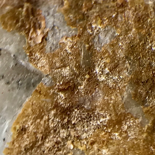 Segnitite