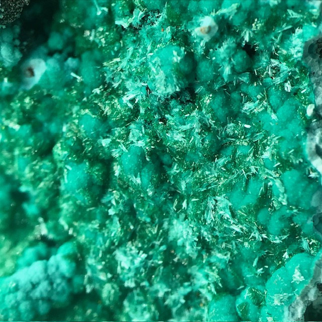 Chrysocolla