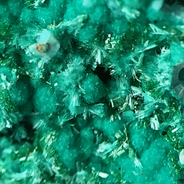 Chrysocolla