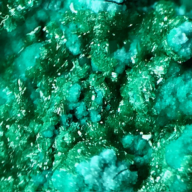 Chrysocolla