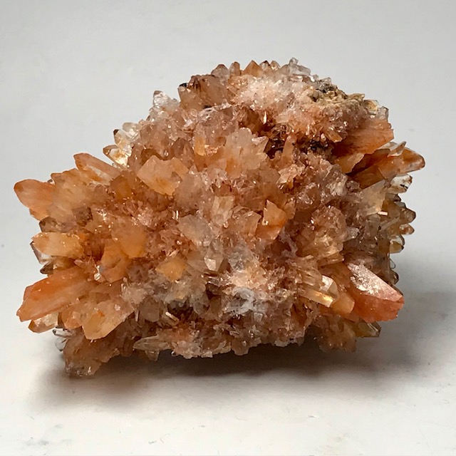 Creedite