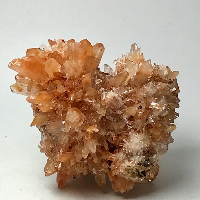 Creedite