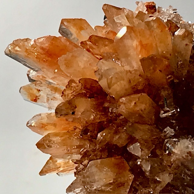 Creedite