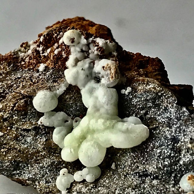 Carbonate-rich Fluorapatite