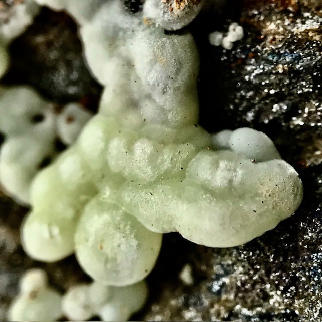 Carbonate-rich Fluorapatite