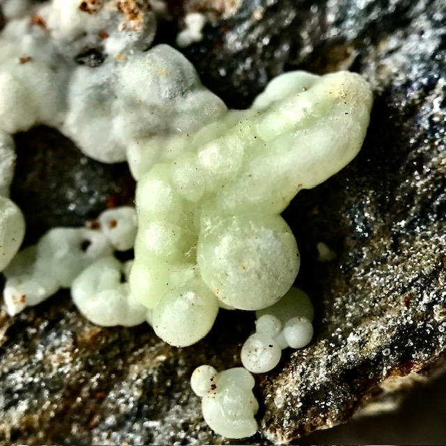 Carbonate-rich Fluorapatite