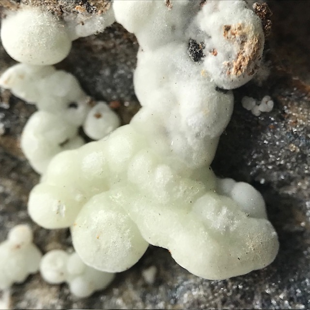 Carbonate-rich Fluorapatite