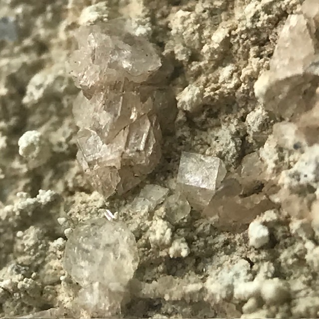 Fluellite