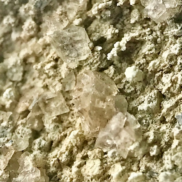 Fluellite