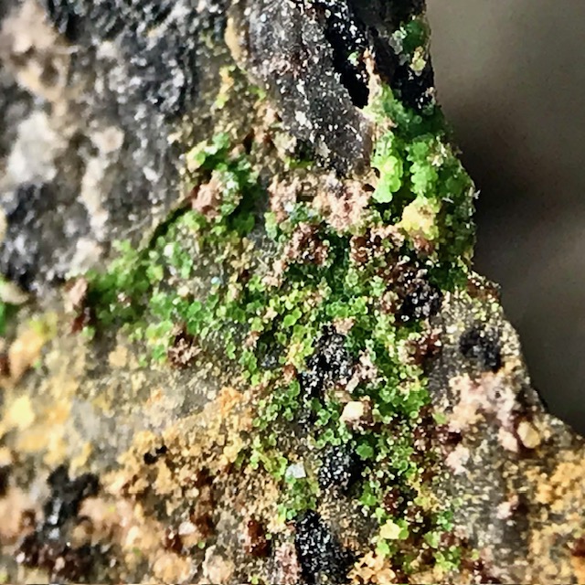 Adamite