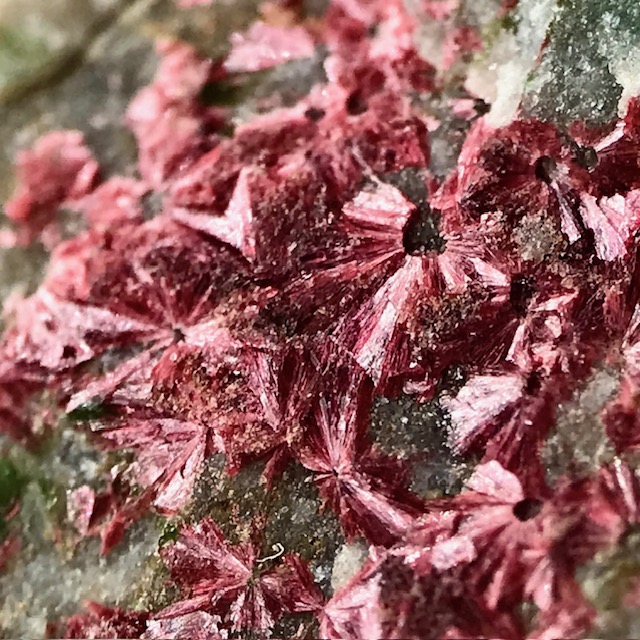 Erythrite