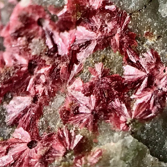 Erythrite