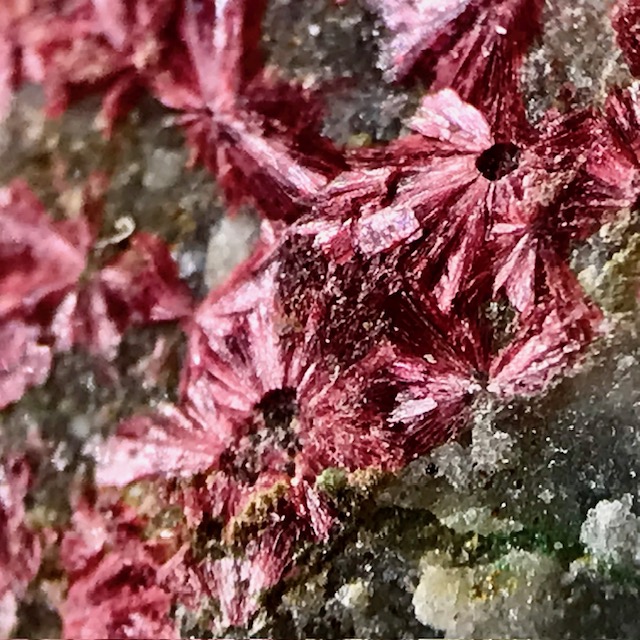 Erythrite