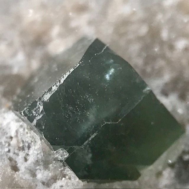 Boracite