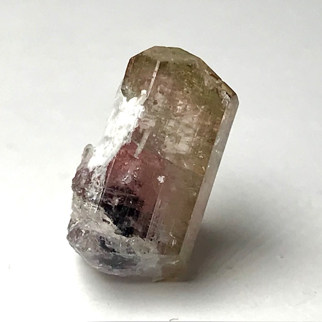 Liddicoatite