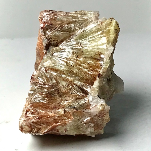 Muscovite