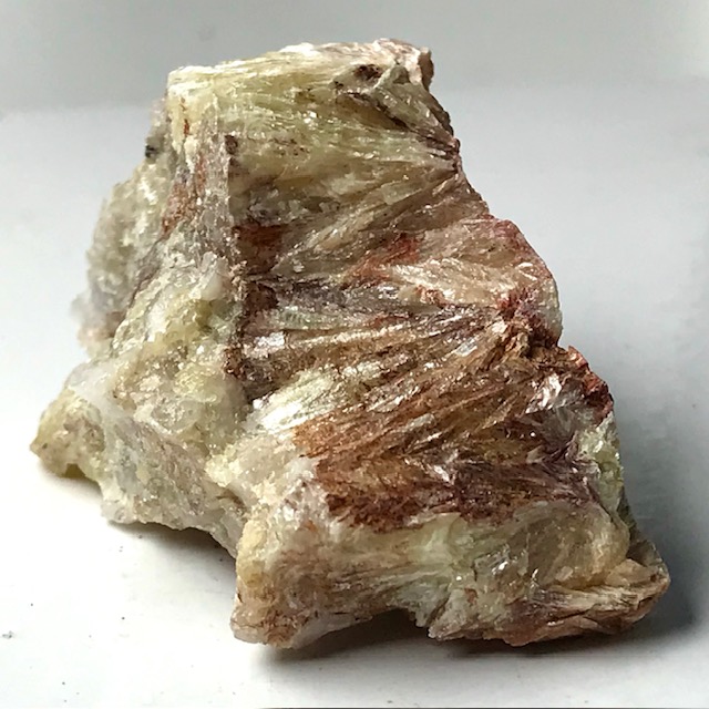 Muscovite