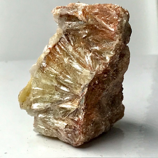 Muscovite