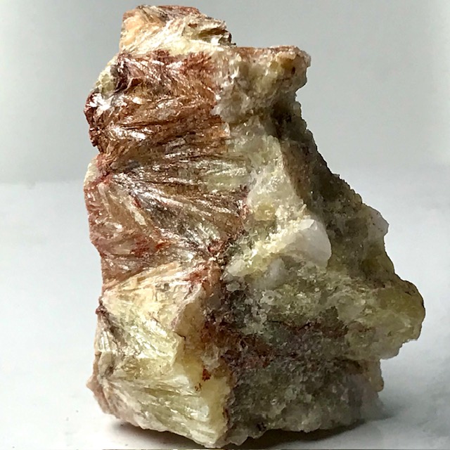Muscovite