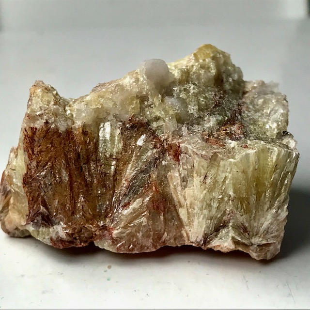 Muscovite