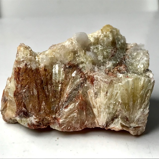 Muscovite