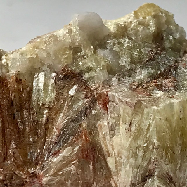 Muscovite