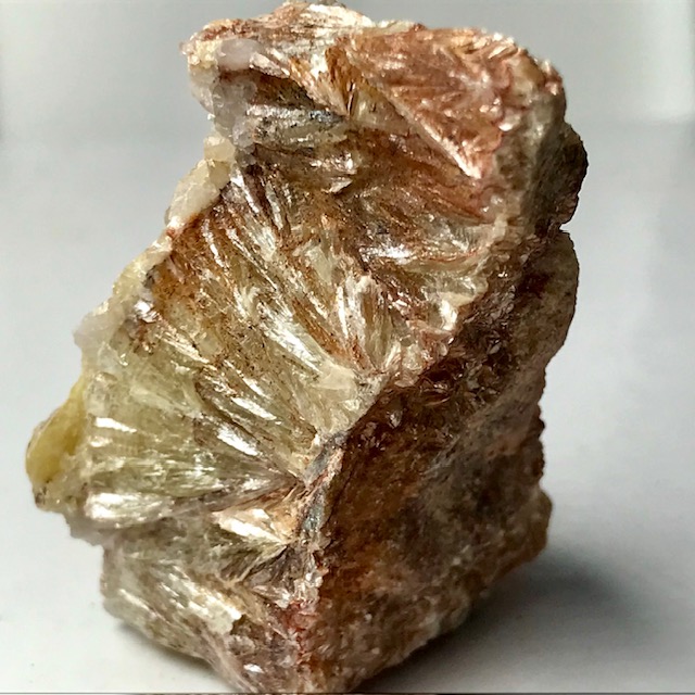 Muscovite