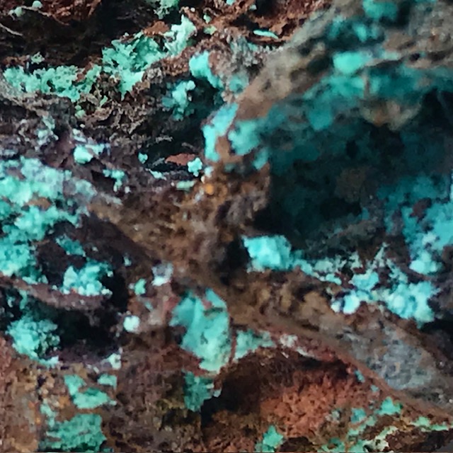 Chrysocolla